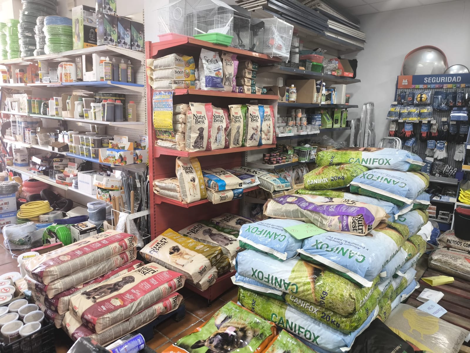 Piensos y alimentación